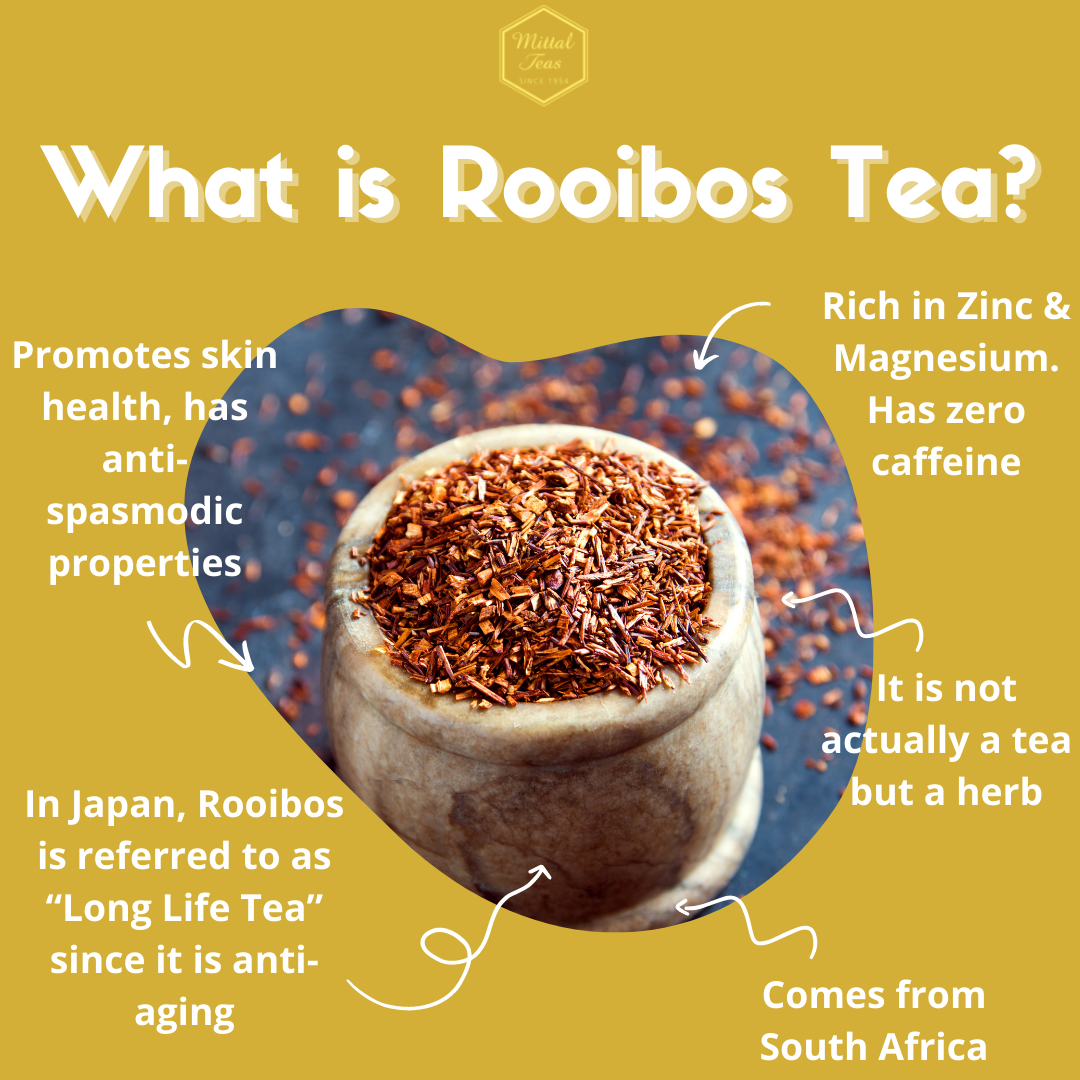 WhatisRooibos_1