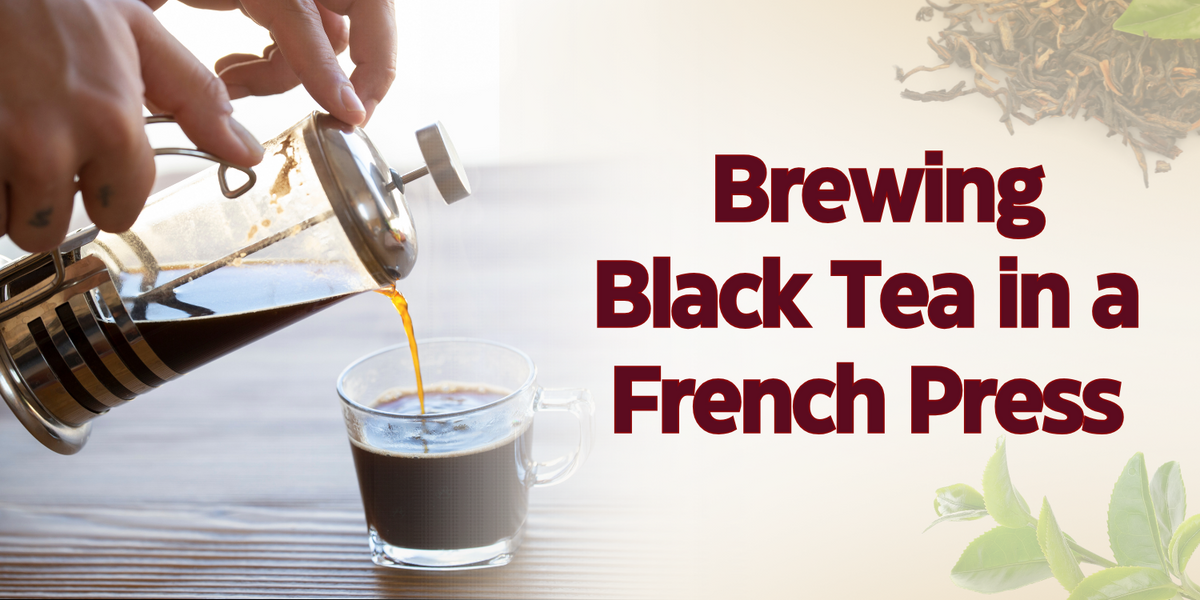 Frech Tea Brewing Black Tea in a French Press