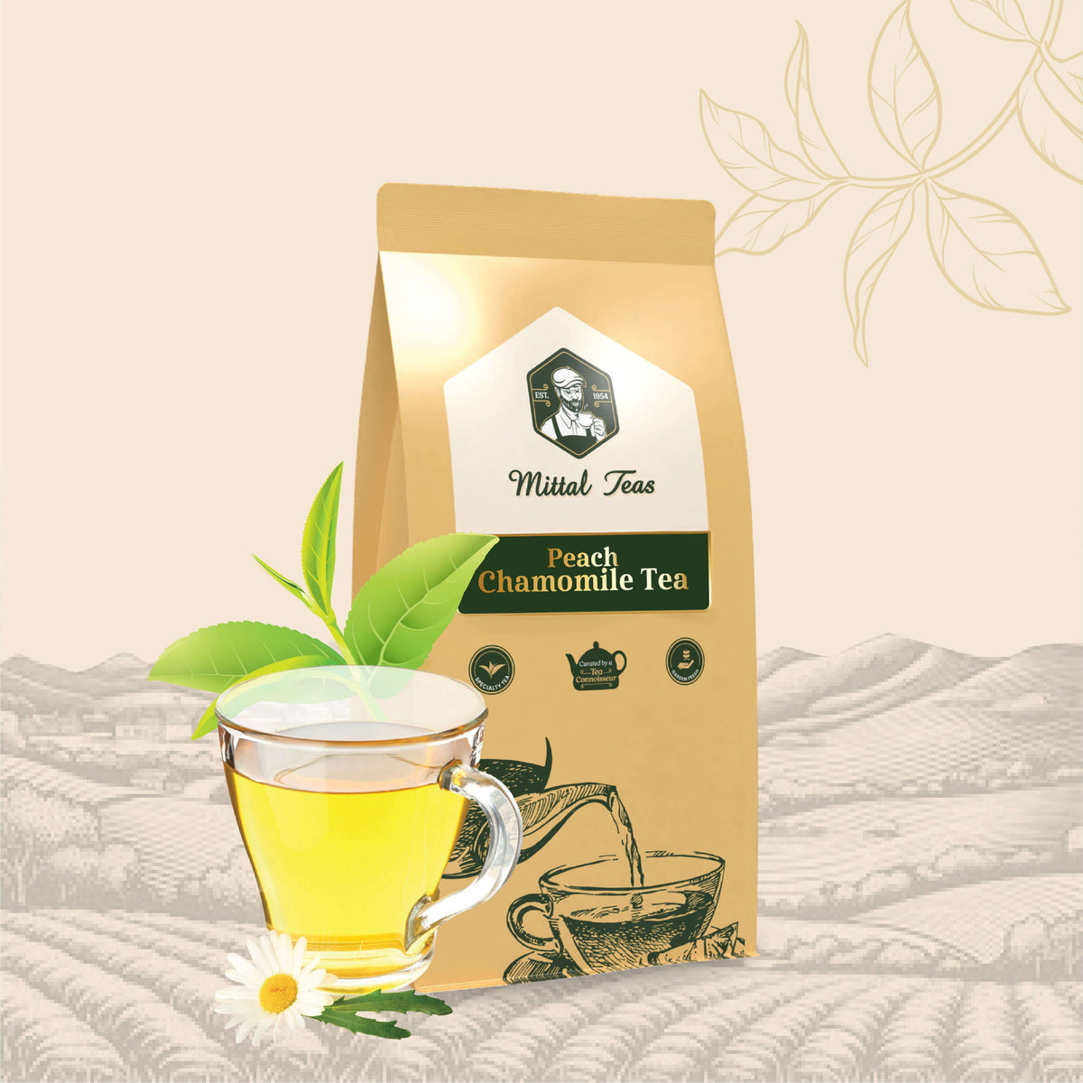 Key Tea Herbal Tea vs Regular Tea: Key Differences You Should Know
