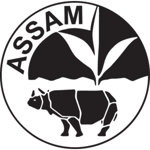 Everything you need to know about Assam