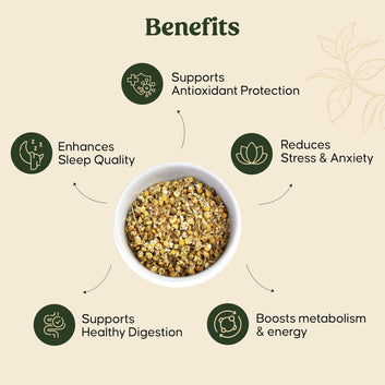 Catalogueimages_new_4-08